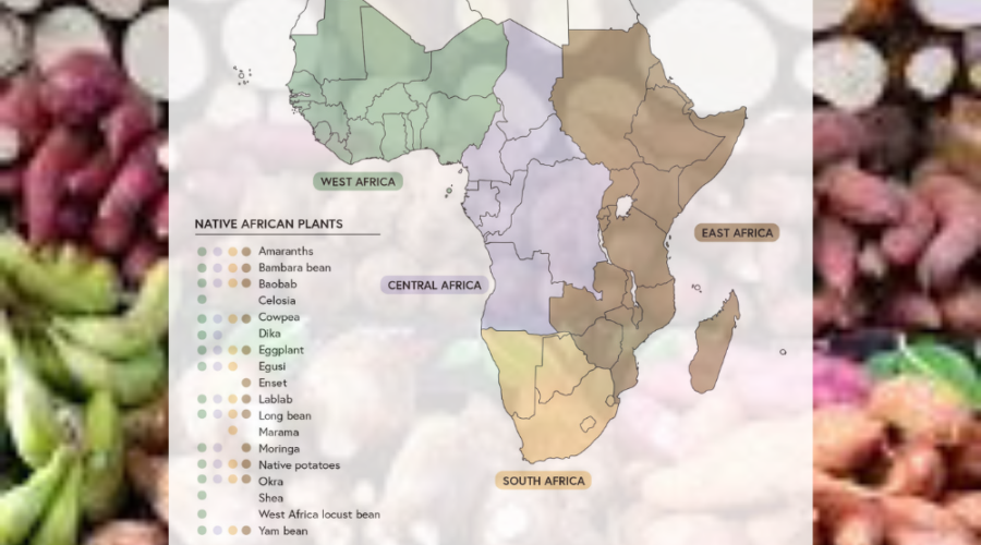 African Staple Food Crops