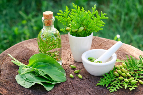 13 Herbs You May Want To Reconsider