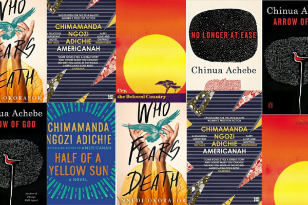 Amazon Bestsellers By African Authors
